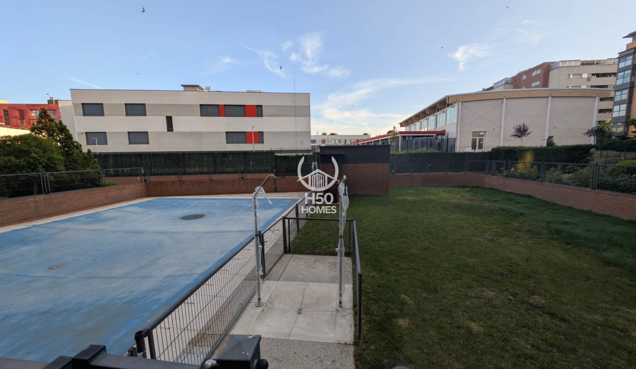 Pisci