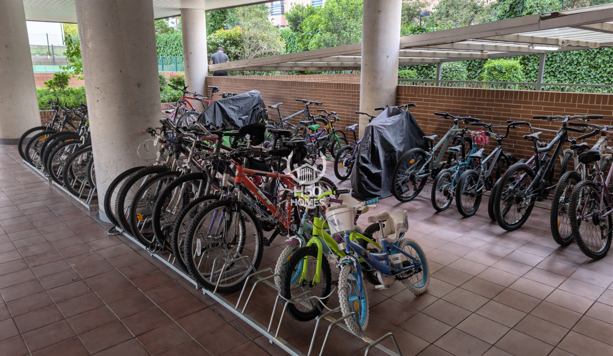 bicis